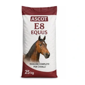 MANGIME CAVALLI ASCOT E8 EQUUS * 25
