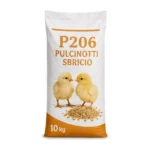 MANGIME P206 PULCINOTTI SBRICIO * 10