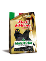MANGIME MANITOBA MERLI E MAINE  1 kg
