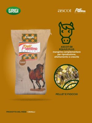 MANGIME CAVALLI ASCOT E8 EQUUS  25 KG