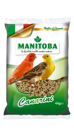 MANGIME MANITOBA CANARINI * 4