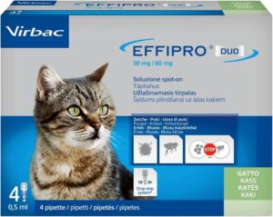 EFFIPRO DUO GATTO 4 PIP.