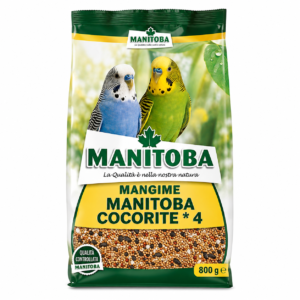 MANGIME MANITOBA COCORITE * 4