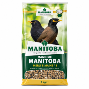 MANGIME MANITOBA MERLI E MAINE * 1
