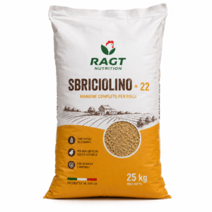 SBRICIOLINO * 22