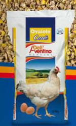 MANGIME G206 COCO SBRICIO' * 20