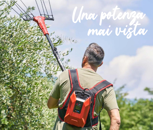 KIT ABBACCHIATORE BLUEBIRD OLIMPO 23-56 AT C/ZAINO - immagine 3