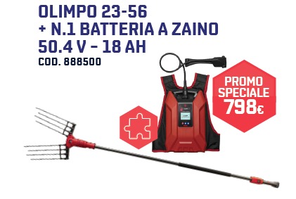 KIT ABBACCHIATORE BLUEBIRD OLIMPO 23-56 C/ZAINO - immagine 4