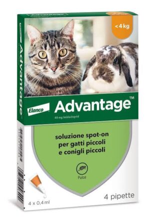 ADVANTAGE GATTI-CONIGLI INF. 4KG
