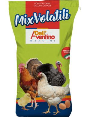 MIX E * 10