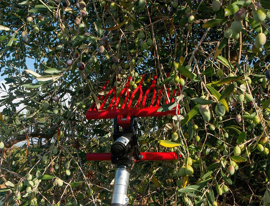 ABBACCHIATORE CASTELLARI OLIVANCE PNX PNEUMATICO - immagine 2