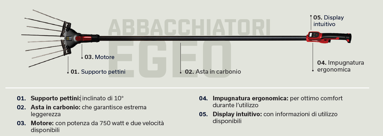 ABBACCHIATORE BLUEBIRD EGEO 23-50 - immagine 2